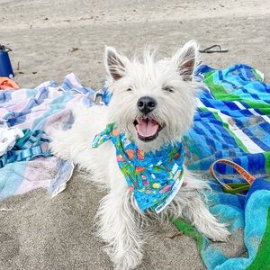 KW Bandanas beach bandana